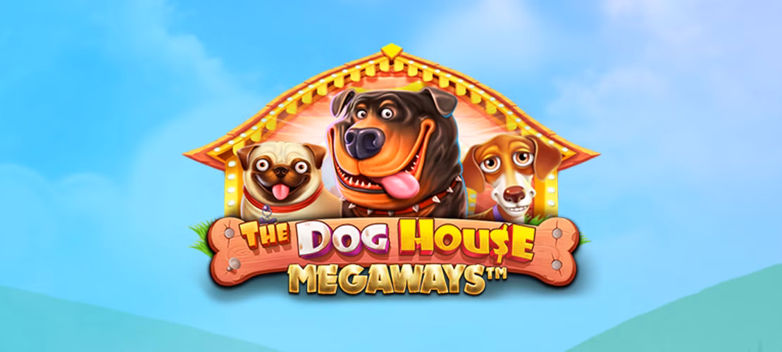 The Dog House CasoBet Casino